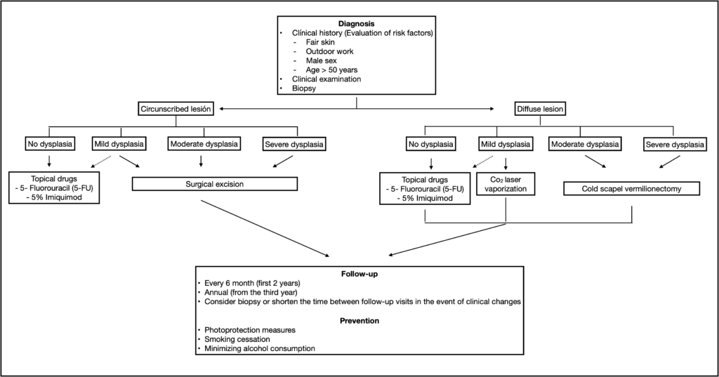 Figure 3 : Arbre décisionnel dans la prise en charge de la chéilite actinique.